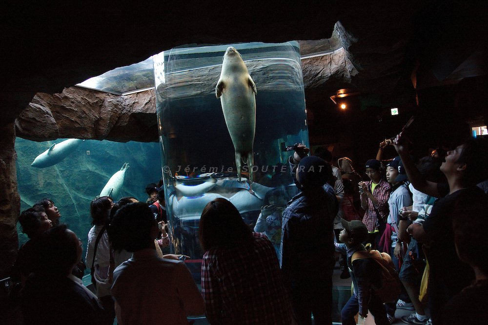 🐧 아사히야마 동물원 이미지 10